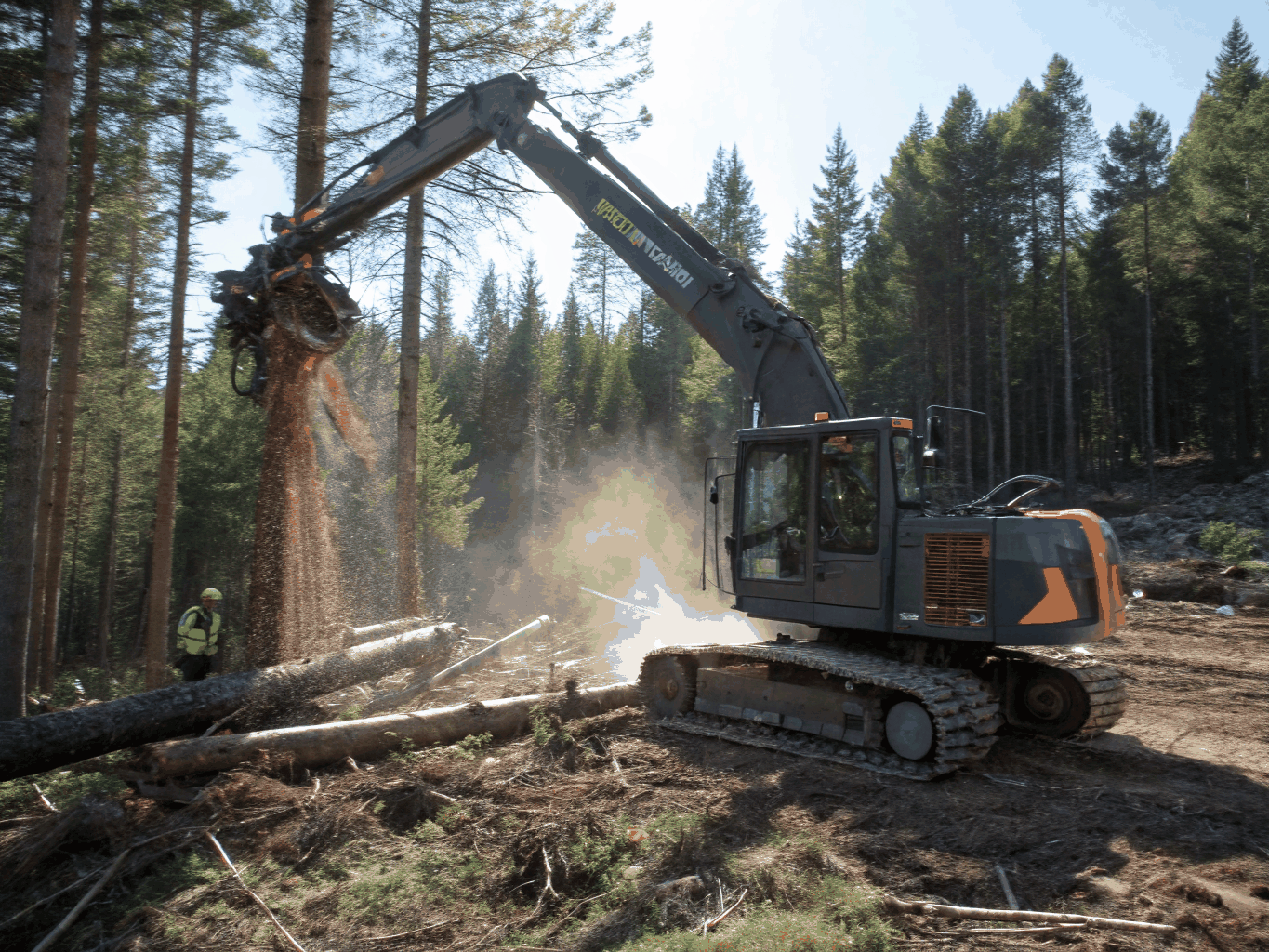 Tree removal service
